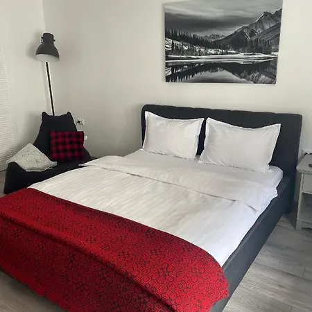 Apartment Maple Brasov
