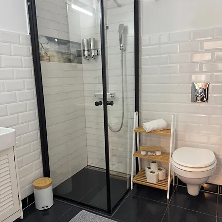 Maple Apartment Brasov