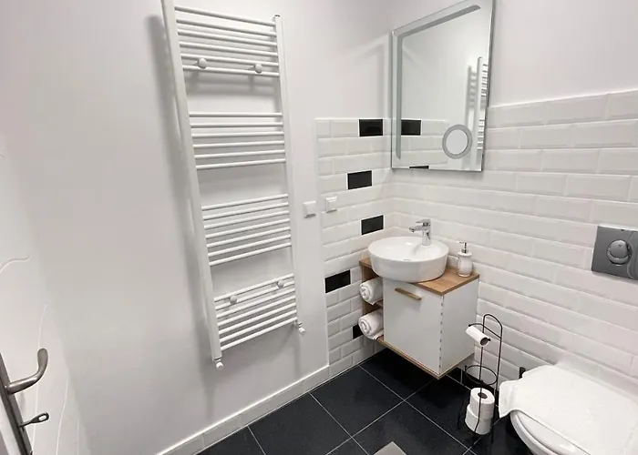 Maple Apartment Brasov