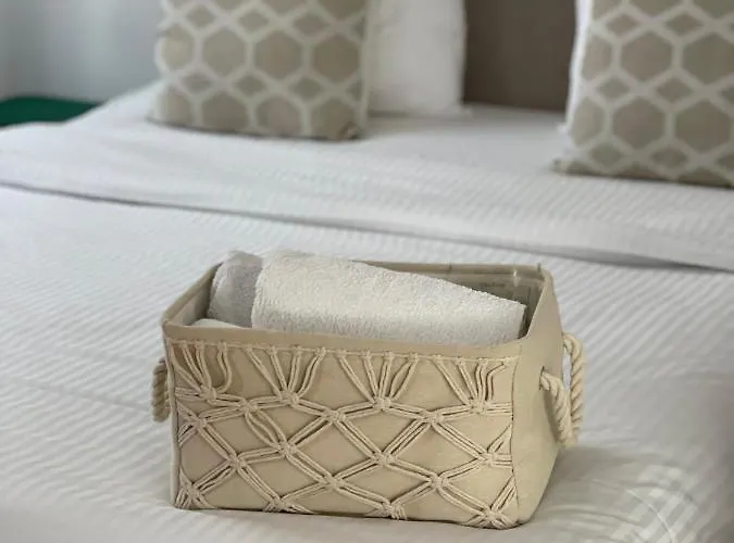 Apartment Maple Brasov