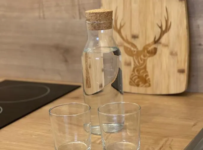 Apartment Maple Brasov