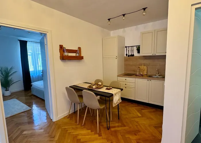 Apartment Maple Brasov